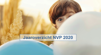 jaaroverzicht 2020.png