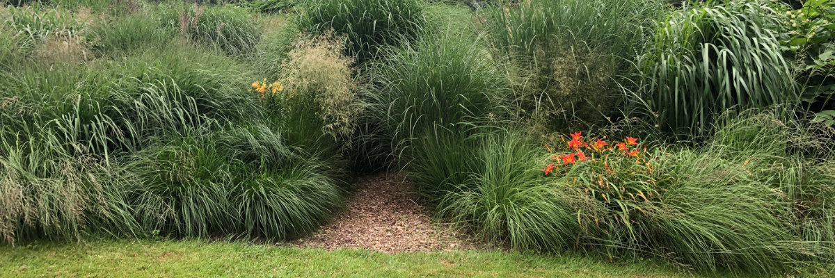 worteltuin header.png