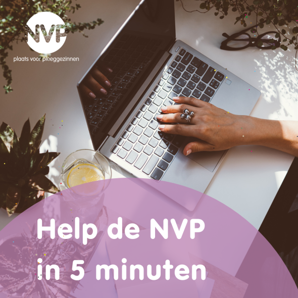 help de nvp