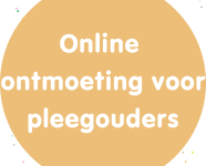 Online ontmoeting voor pleegouders.png