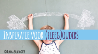 promo inge vandeweege.PNG